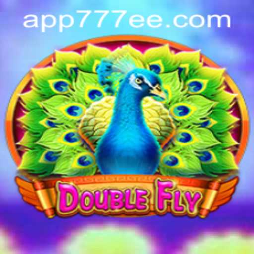 DoubleFly: Exploring the Features and Rules of the Game