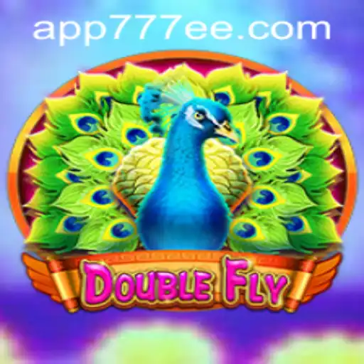 DoubleFly: Exploring the Features and Rules of the Game